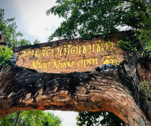 Khao Kheow Open Zoo Tour